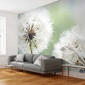 Artgeist Fototapetas - Two dandelions kaina