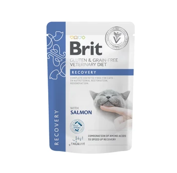 Brit GF Veterinary Diets konservai katėms maiš. Recovery 85g