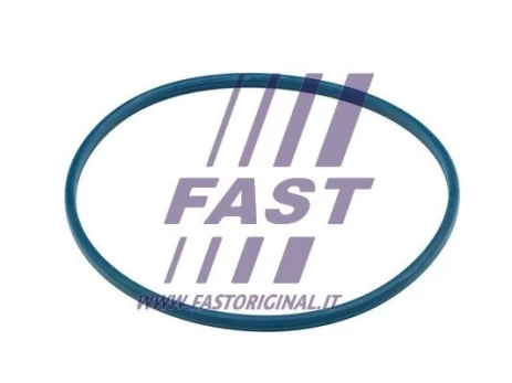 Tarpiklis, degalų pildymo kaklelis FAST FT48504