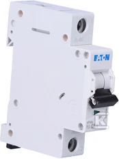 Eaton PL6-C2/1 SROVĖS PERTRAUKIS 6KA