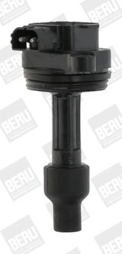 Ritė, uždegimas BorgWarner (BERU) ZS446