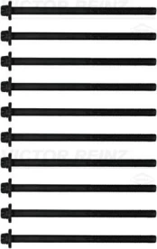 REINZ 14-10398-01 Cylinder head bolt set kaina