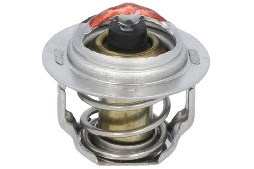Termostatas Tinka: CARRIER CT 3.69