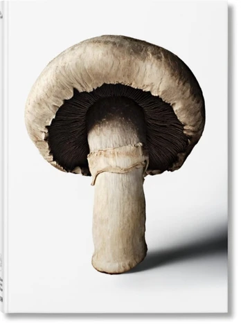 Gourmand's Mushroom