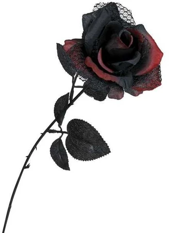 Fiesta Sort og rød rose