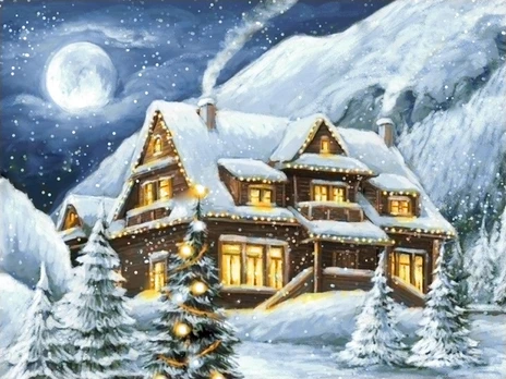 Winter house 40*30 WD3042