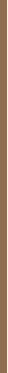 Syoss Brow Tint 17 ml