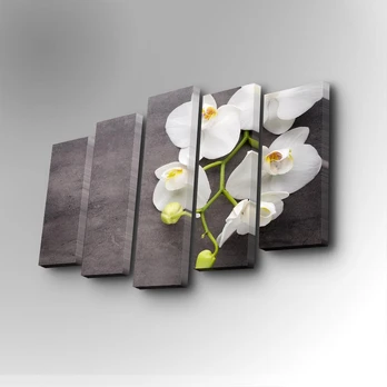 Reprodukcija Wallity 5PUC-031, 82 cm x 50 cm, 5 vnt.