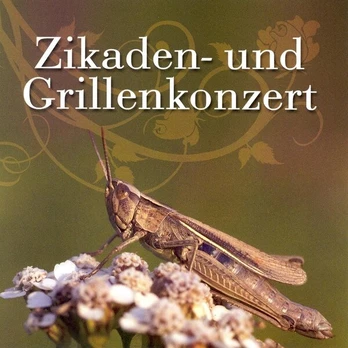CD - Zikaden und Grillenkonzert