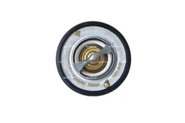 Termostatas, aušinimo skystis NRF 725088
