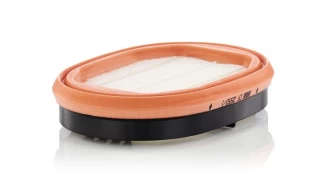 Antrinis oro filtras MANN-FILTER CF 2550/1 kaina