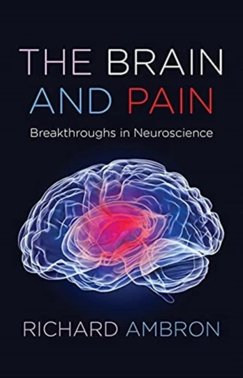 Brain and Pain