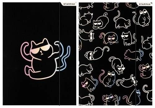 A4 aplankas su gumyte "kitty Holo"