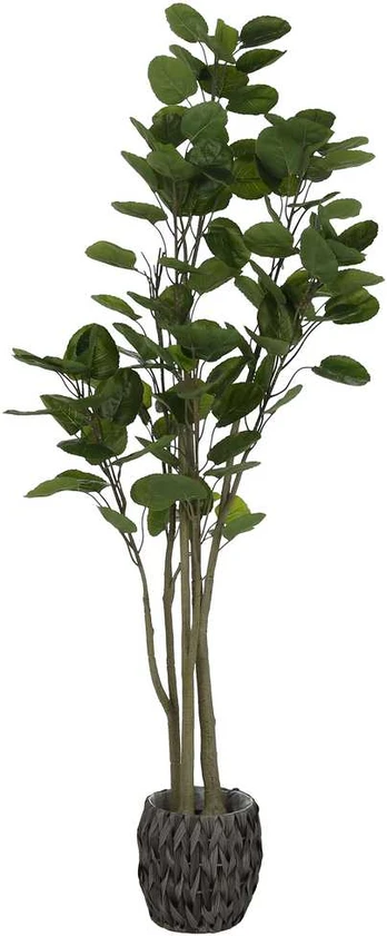 Dirbtinis augalas Laimės medis, 160 cm