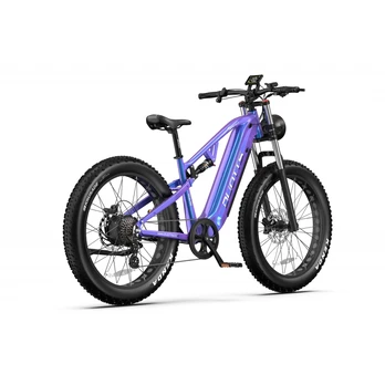 DUOTTS E26 elektrinis dviratis (26") 750W Bafang variklis 48V 20Ah