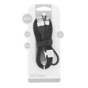 Setty USB - USB-C cable 1,2 m 2A KNA-C-1.221 black kaina