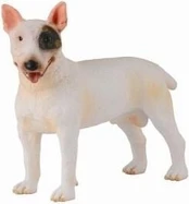 Bulterjerų veislės šuo - Collecta