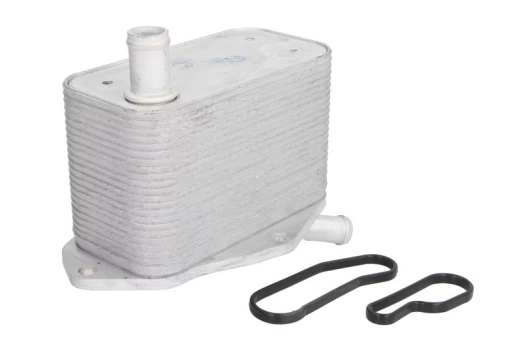 Alyvos radiatorius THERMOTEC D4V010TT