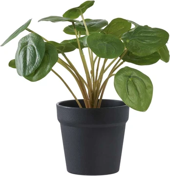 House Nordic Dirbtinis augalas - Pelia - A: 28 cm - Žalias