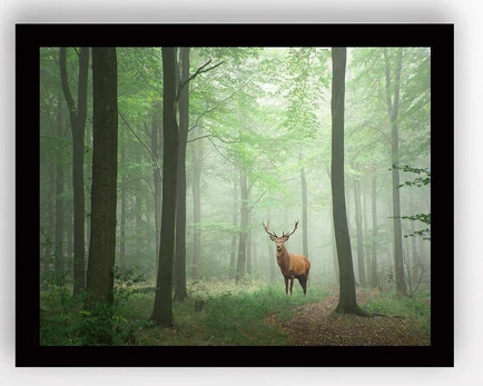 Paveikslas Wallity SC0368, 56 cm x 41 cm, 1 vnt.