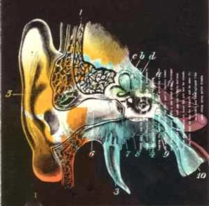 CD Liquorice - Listening Cap