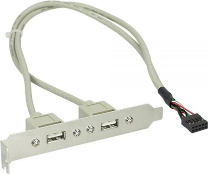 InLine 2x USB (33391)