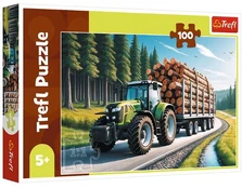 Trefl Dėlionė 100 Cišgnik leny 16493 kaina