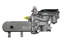 ERG modulis VALEO 700447 kaina