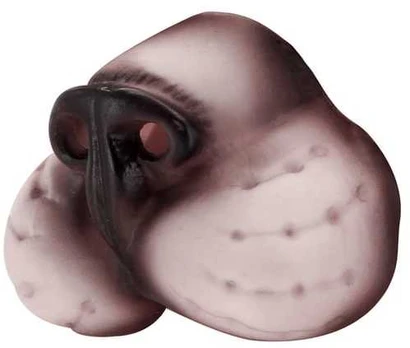 Widmann Kattesnude