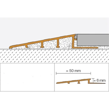 Profiliuotis RENO-RAMP-AE-60-B50