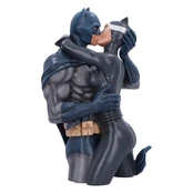 Batman & Catwoman Bust kaina