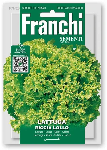 Salotos sėjamosios RICCIA LOLLO