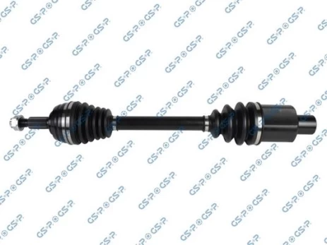Pusašis GSP 250463