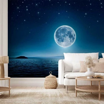 Artgeist Fototapetas - Moonlit night