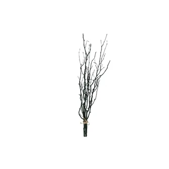 Dekoratyvinė šaka 2021535, 50 cm