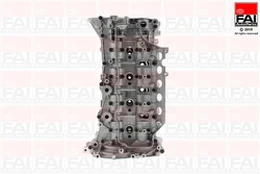 FAI AutoParts BCH093 Cilindro galvutė