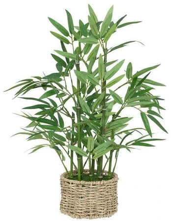 Dirbtinis bambukas vazone, 46 cm