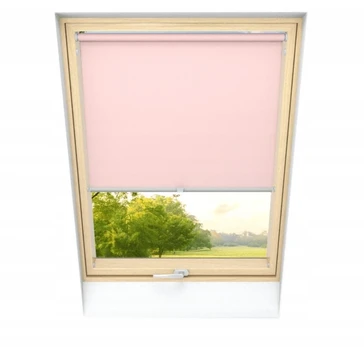 Stogo roletas Basic 110 x 50cm pritemdantis