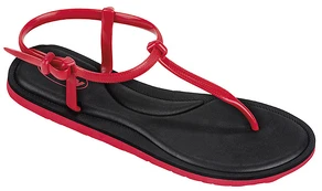 Šlepetės mot. V-Strap SWANSBORO 7616 40 red 36 kaina