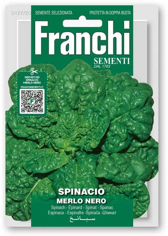 Špinatai daržiniai MERLO NERO