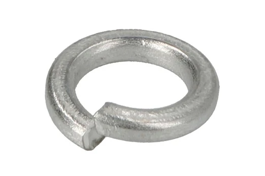 EVERT EVERTZL204201011