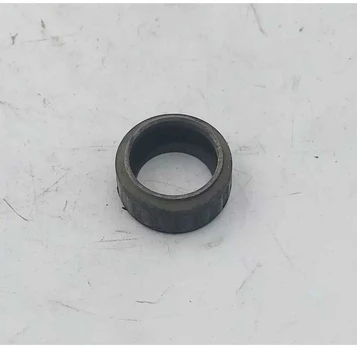 Dedra Guminis guolio dangtelis
