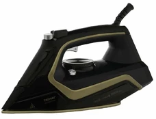 Zelmer ZIR2620 GoldenGlide kaina