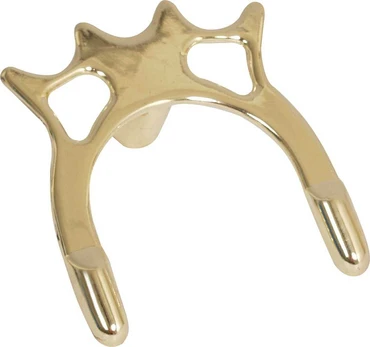 Lazdos atrama Buffalo Spider