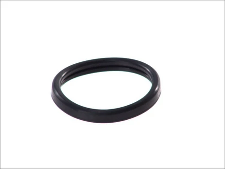 Termostato tarpinė HANS PRIES HP302 261