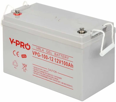 AKUMULIATORIUS 12V/100AH-VPRO