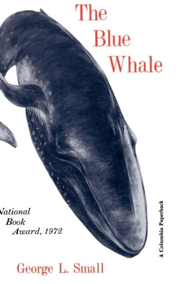 Blue Whale
