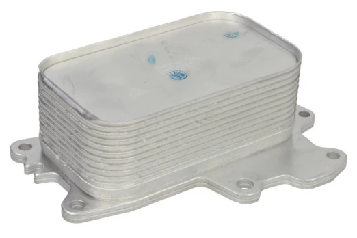 Alyvos radiatorius THERMOTEC D4Y004TT