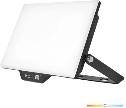 50W LED prožektorius DELYO MHN, juodas, 4000K, IP65