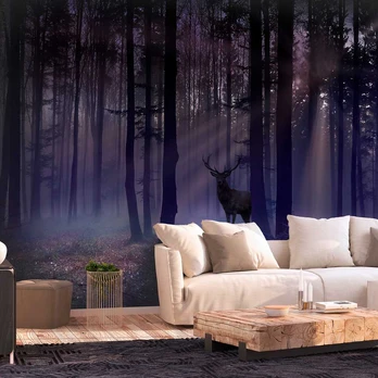 Artgeist Fototapetas - Mystical Forest - Second Variant